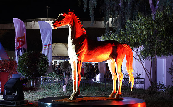 GAT ASSURANCES vous assure vos plus belles émotions