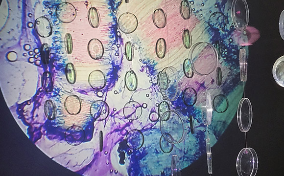 GAT ASSURANCES, partenaire du festival International d’Art de Lumière